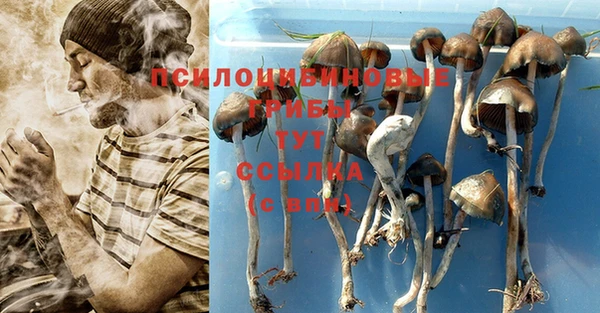 соль курить ск Алзамай